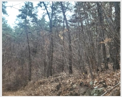  2024Ÿ40112 泲 õ ͷ浿 78-3       (Ӿ)