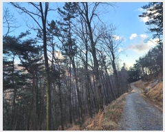  2024Ÿ40112 泲 õ ͷ浿 78-3       (Ӿ)