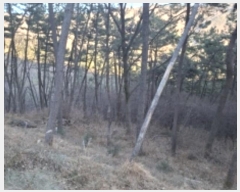  2024Ÿ40112 泲 õ ͷ浿 78-3       (Ӿ)