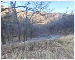  2024Ÿ40112 泲 õ ͷ浿 78-3       (Ӿ)