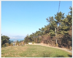  2024Ÿ40181 泲 ر   73      (Ӿ)