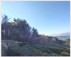  2024Ÿ40181 泲 ر   73      (Ӿ)