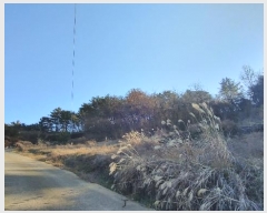  2024Ÿ40181 泲 ر   73      (Ӿ)