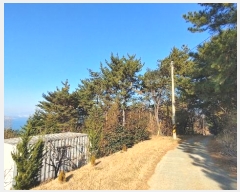  2024Ÿ40181 泲 ر   73      (Ӿ)