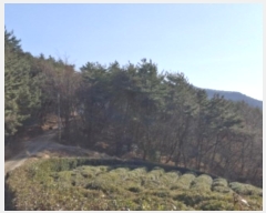  2024Ÿ40181 泲 ر   73      (Ӿ)