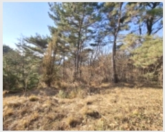  2024Ÿ40181 泲 ر   73      (Ӿ)