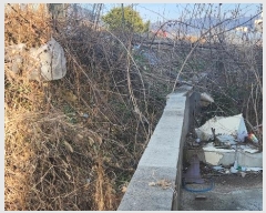  2024Ÿ��22  ����