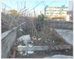  2024Ÿ��22  ����