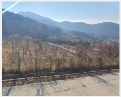  2024Ÿ435 泲 ֽ ݻ Ƹ 268-4      ()