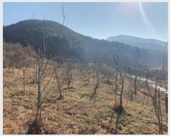  2024Ÿ435 泲 ֽ ݻ Ƹ 268-4      ()