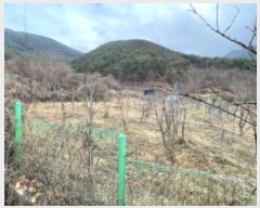  2024Ÿ435 泲 ֽ ݻ Ƹ 268-4      ()