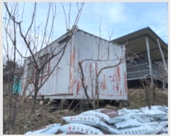  2024Ÿ435 泲 ֽ ݻ Ƹ 268-4      ()