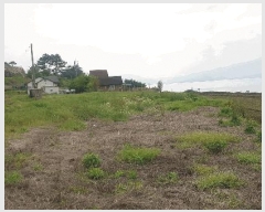  2024Ÿ2110 泲 ر â 븮 1209      ٰð