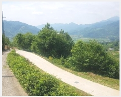  2024Ÿ��3151 �泲 �ϵ��� �Ǿ�� �Լ��� 396      ����(��1)���