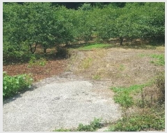  2024Ÿ��3151 �泲 �ϵ��� �Ǿ�� �Լ��� 396      ����(��1)���