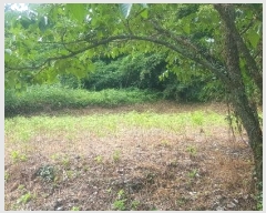  2024Ÿ��3151 �泲 �ϵ��� �Ǿ�� �Լ��� 396      ����(��1)���