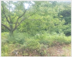  2024Ÿ��3151 �泲 �ϵ��� �Ǿ�� �Լ��� 396      ����(��1)���