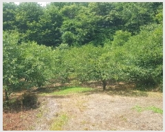  2024Ÿ��3151 �泲 �ϵ��� �Ǿ�� �Լ��� 396      ����(��1)���