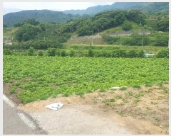  2024Ÿ��3151 �泲 �ϵ��� �Ǿ�� �Լ��� 396      ����(��1)���