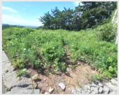  2024Ÿ��3212 �泲 ��õ�� ������ �ź��� ��26      ����(�Ӿ�)���