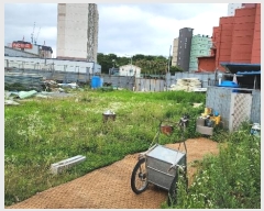  2024Ÿ3762 泲 õ ݵ 330-30       ()