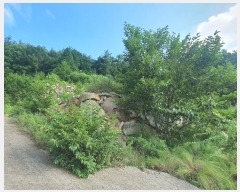  2024Ÿ��4123 �泲 ��õ�� �׸��� 131-7       ����(����)���