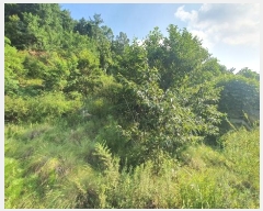  2024Ÿ��4123 �泲 ��õ�� �׸��� 131-7       ����(����)���