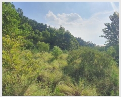  2024Ÿ��4123 �泲 ��õ�� �׸��� 131-7       ����(����)���