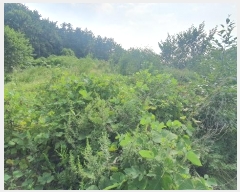  2024Ÿ��4123 �泲 ��õ�� �׸��� 131-7       ����(����)���