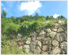  2024Ÿ��4123 �泲 ��õ�� �׸��� 131-7       ����(����)���