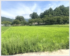  2024Ÿ��4307 �泲 ��û�� ���θ� ���̸� 770      ����(��1)���