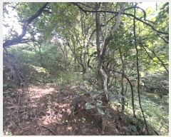  2024Ÿ��4307 �泲 ��û�� ���θ� ���̸� 770      ����(��1)���