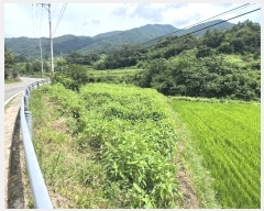  2024Ÿ��4307 �泲 ��û�� ���θ� ���̸� 770      ����(��1)���