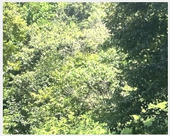  2024Ÿ��4307 �泲 ��û�� ���θ� ���̸� 770      ����(��1)���