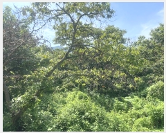  2024Ÿ��4307 �泲 ��û�� ���θ� ���̸� 770      ����(��1)���