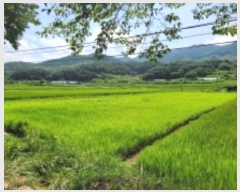  2024Ÿ��4307 �泲 ��û�� ���θ� ���̸� 770      ����(��1)���