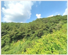  2024Ÿ4369 泲 ֽ   143      (Ӿ)