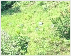  2024Ÿ4369 泲 ֽ   143      (Ӿ)