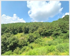  2024Ÿ4369 泲 ֽ   143      (Ӿ)