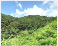  2024Ÿ4369 泲 ֽ   143      (Ӿ)