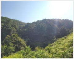  2024Ÿ4369 泲 ֽ   143      (Ӿ)