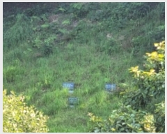  2024Ÿ4369 泲 ֽ   143      (Ӿ)