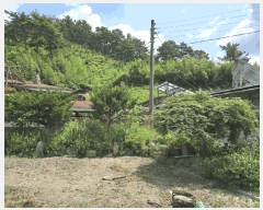  2024Ÿ4420 泲 ֽ   603-1      ð