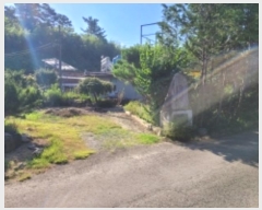  2024Ÿ4420 泲 ֽ   603-1      ð