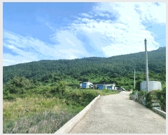  2024Ÿ4642 泲 ر   441      (1)