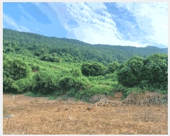  2024Ÿ4642 泲 ر   441      (1)