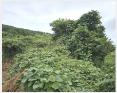  2024Ÿ4642 泲 ر   441      (1)