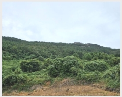  2024Ÿ4642 泲 ر   441      (1)