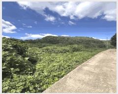  2024Ÿ4758 泲 ֽ   167      (1)