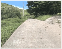  2024Ÿ4758 泲 ֽ   167      (1)